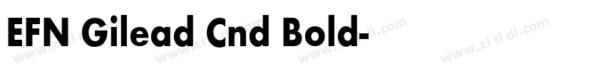 EFN Gilead Cnd Bold字体转换